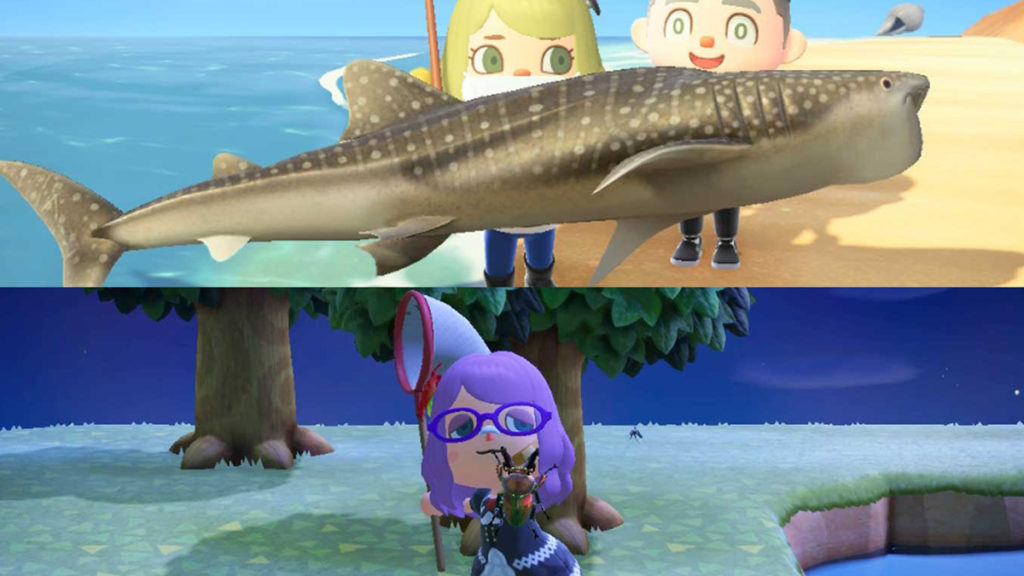 Animal crossing fish and bug