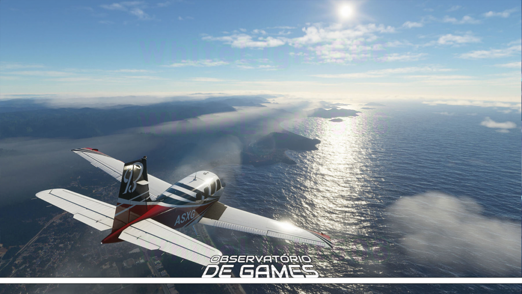 Microsoft flight simulator