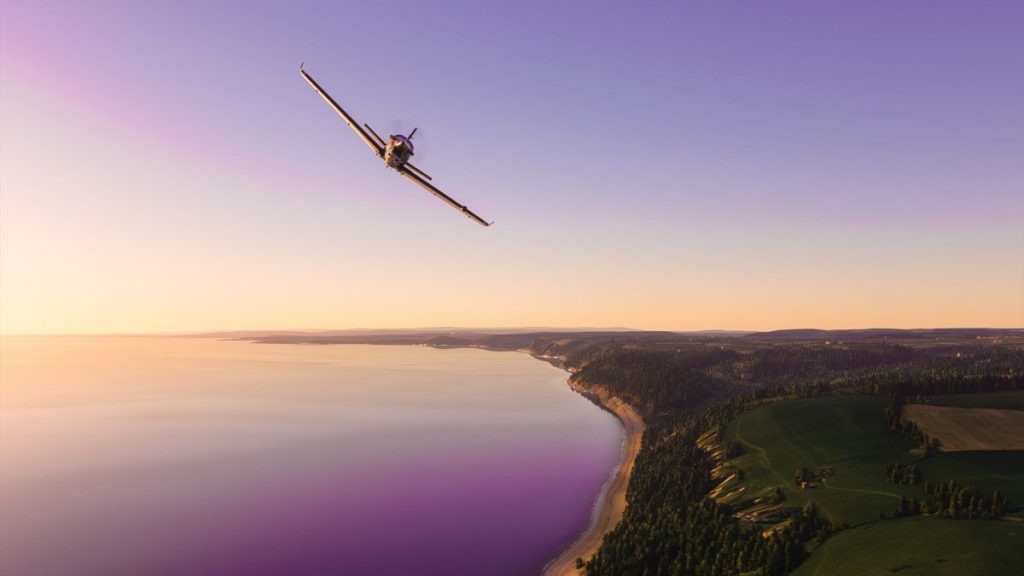 Microsoft Flight Sim Turtle Beach