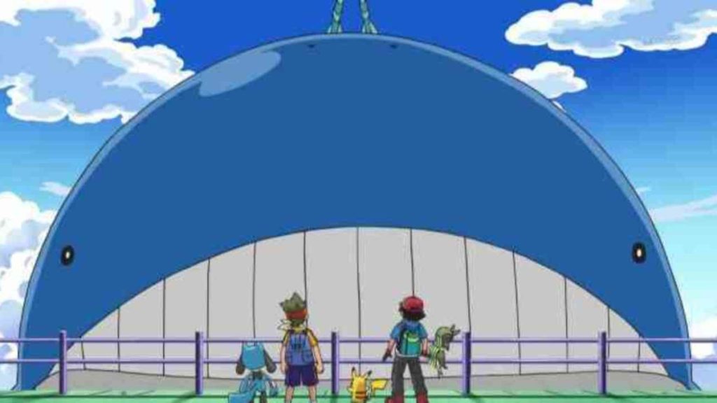 Pokémon Wailord & Friends