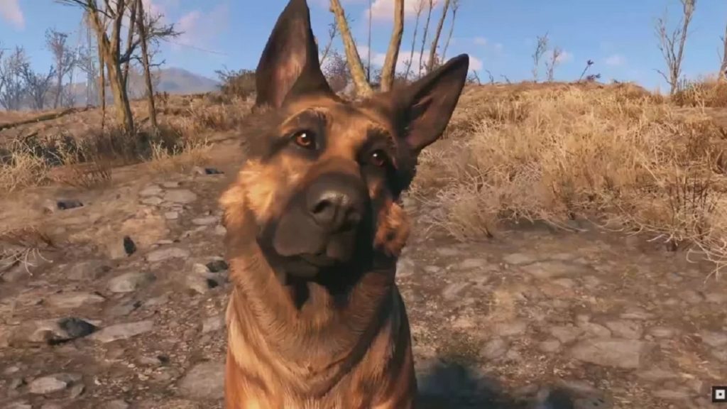 Dogmeat