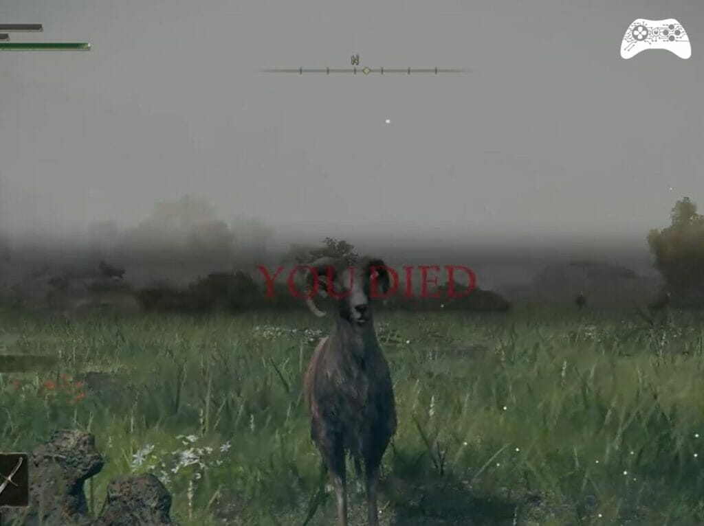 Elden Ring morte ridicula