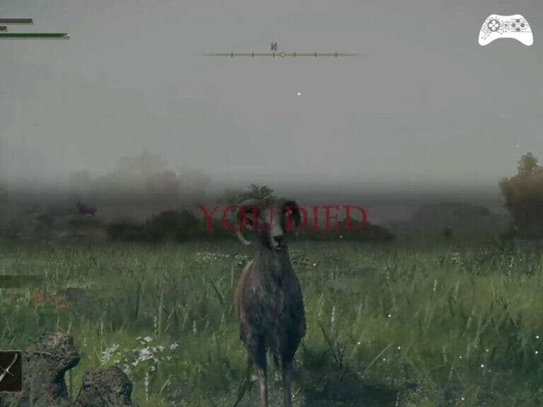 Elden Ring morte ridicula