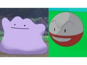 Ditto e Eletrodo