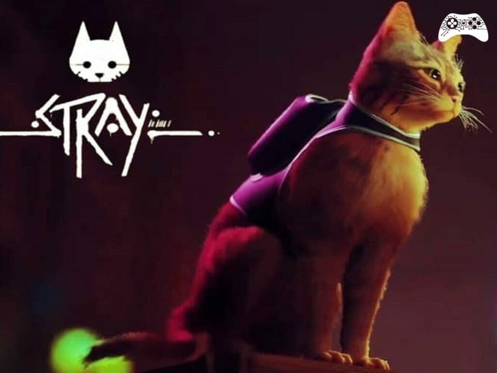 Stray