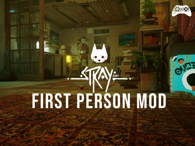 Stray Primeira Pessoa