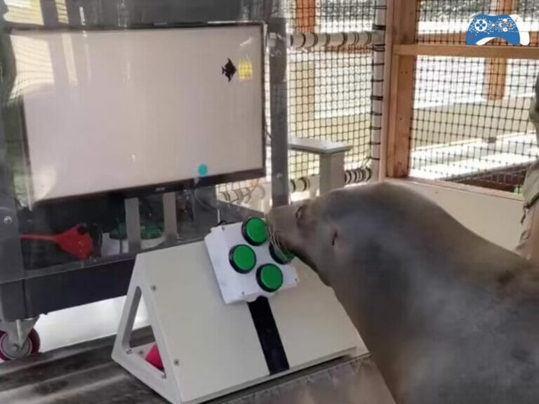 Leao marinho jogando videogame