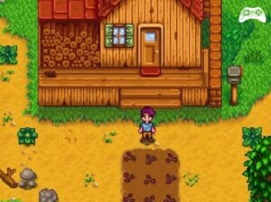 Stardew Valley