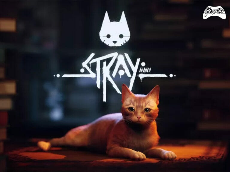 Stray