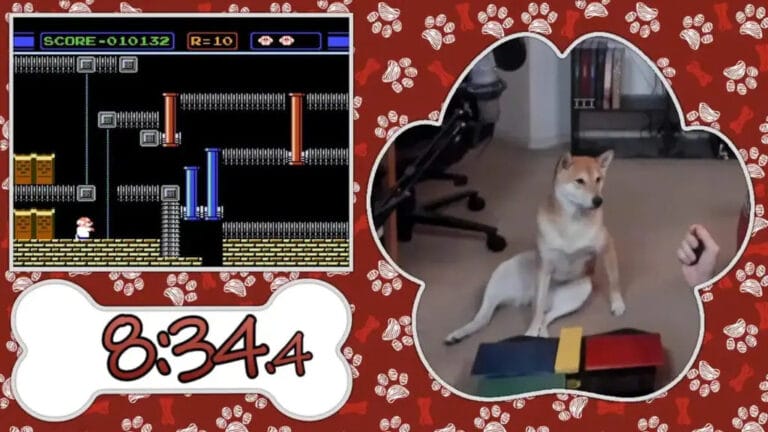 Speedrunner Doggo
