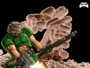Doom bacteria