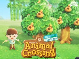 Animal Crossing New Horizons